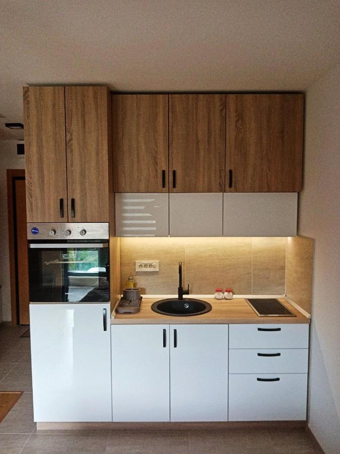 Studio Apartman Gorski Kristal Zlatibor Exteriör bild